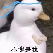 圣志的个人资料头像