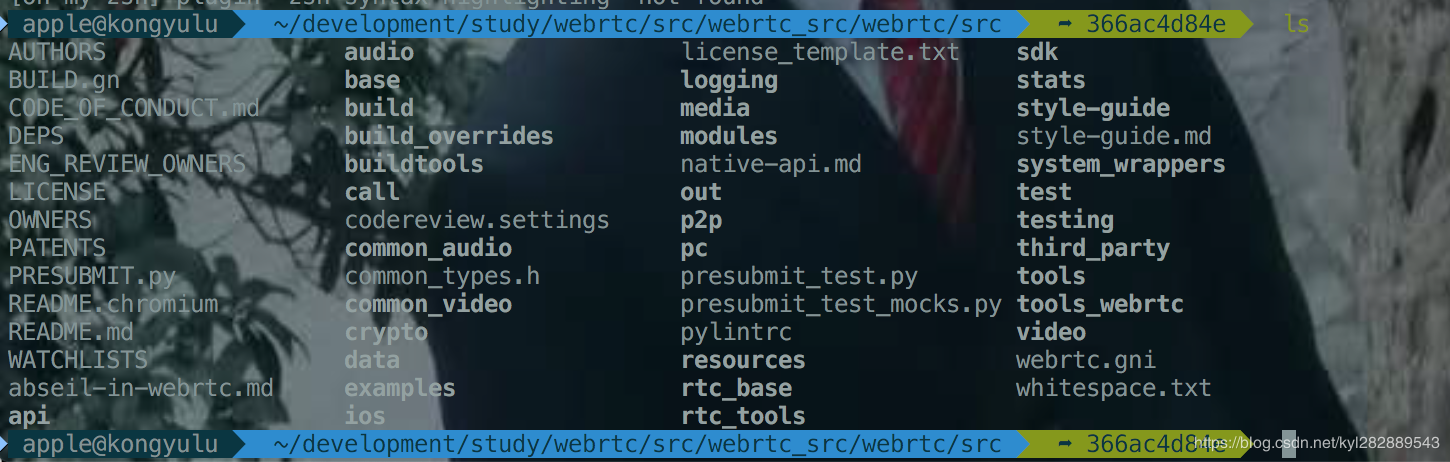 WebRTC源码目录结构
