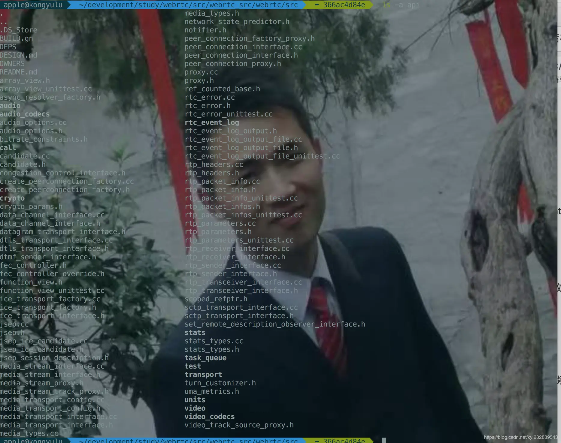 api 目录