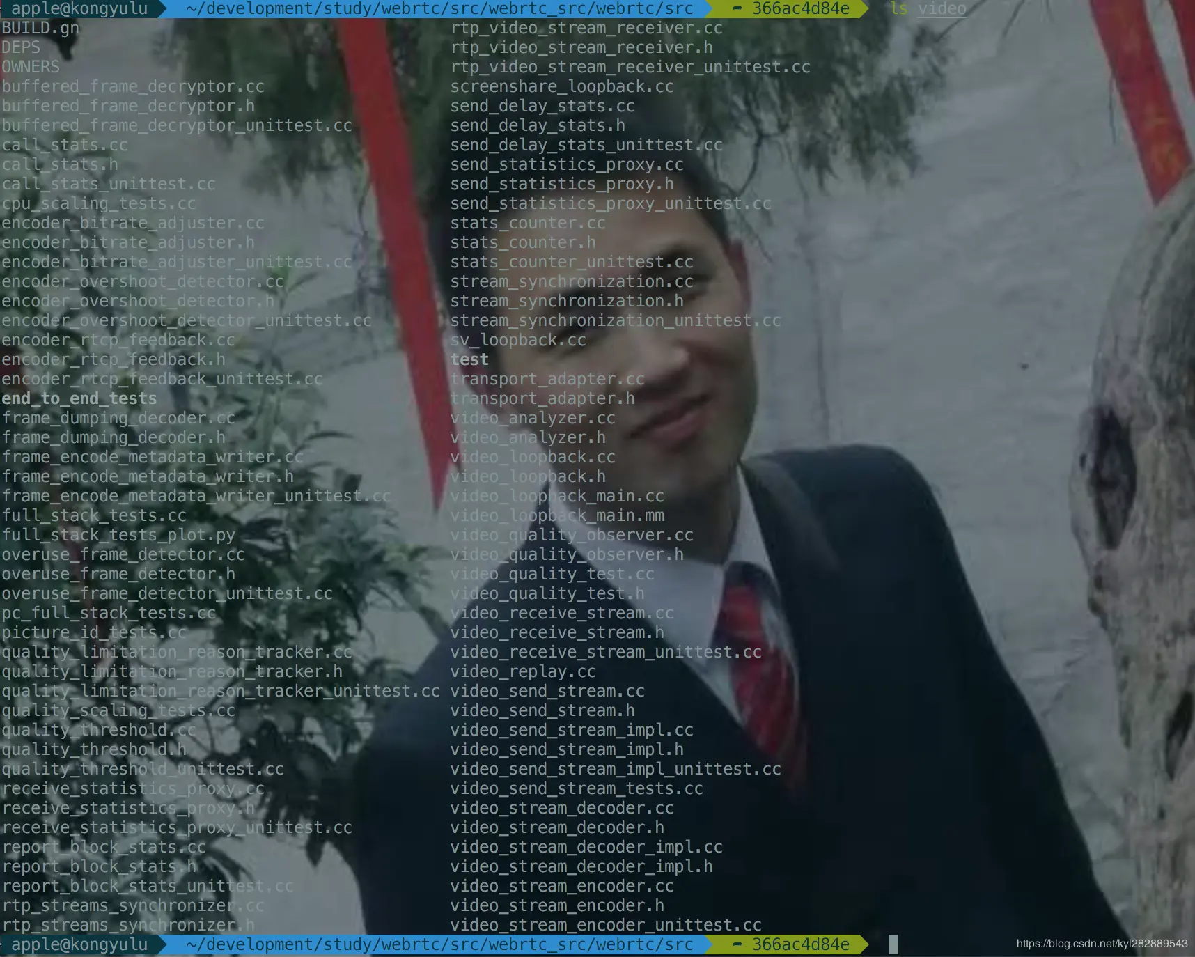 video 目录