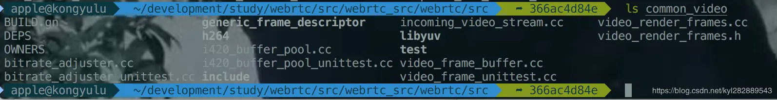 common_video 目录