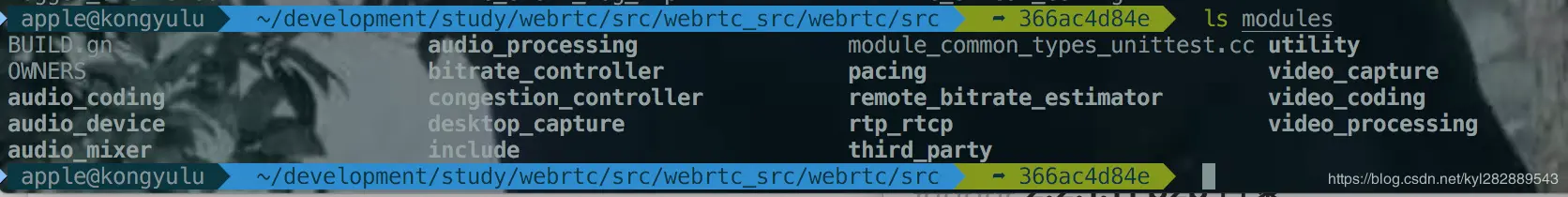 modules 目录