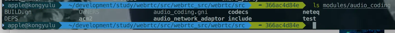 modules/audio_coding 目录