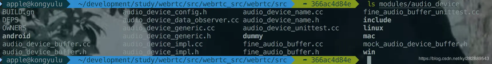 modules/audio_device 目录