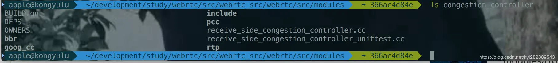 modules/congestion_controller 目录
