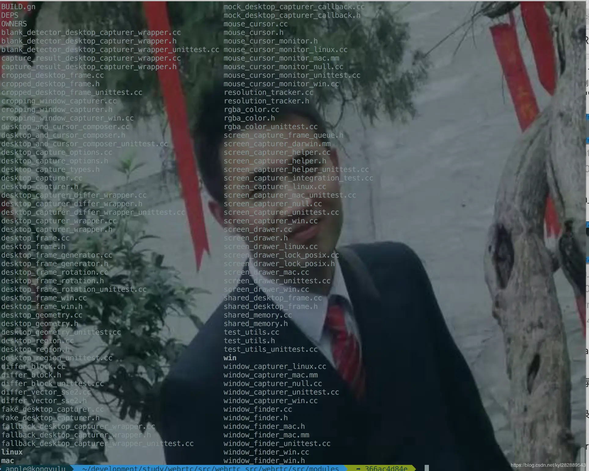 modules/desktop_capture 目录