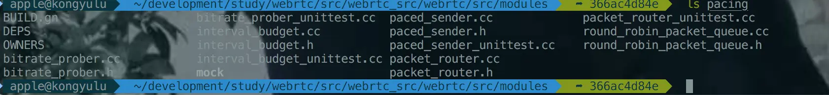 modules/pacing 目录