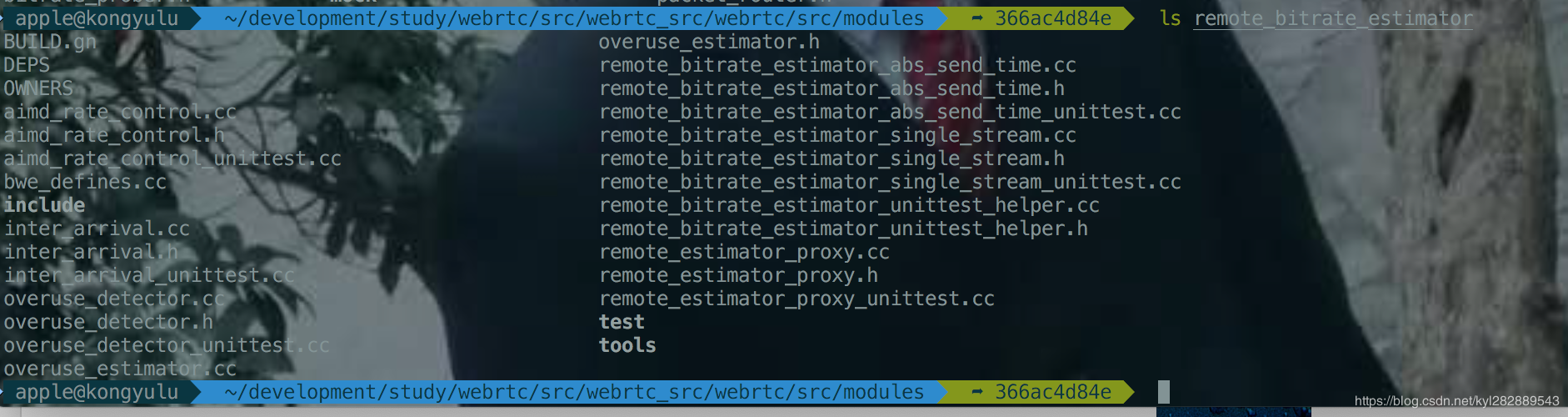 modules/remote_bitrate_estimator 目录