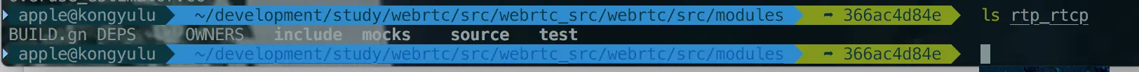 modules/rtp_rtcp 目录