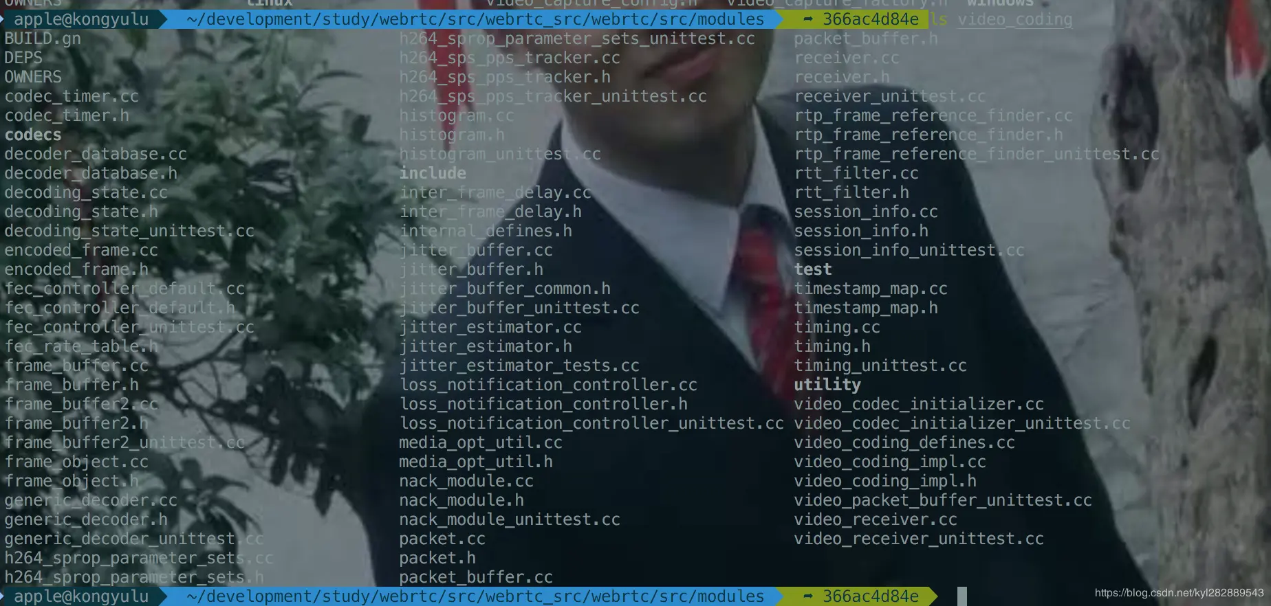 modules/video_coding 目录