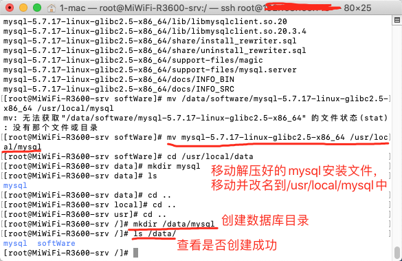 移动解压的mysql安装文件夹到/usr/local/mysql并重新命名安装文件夹为mysql