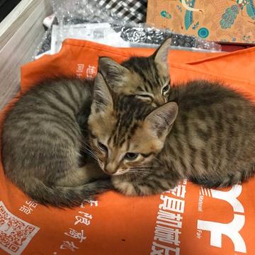 已注销于2020-07-15 12:33发布的图片