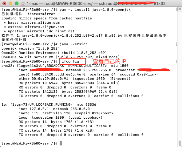 查看服务器的IP地址
