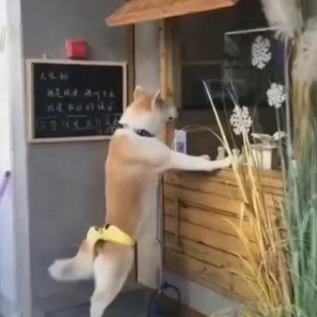 勇往直前go于2020-07-15 21:37发布的图片