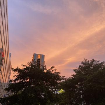 Lee同学于2020-07-16 08:40发布的图片