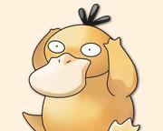 shoyo_的个人资料头像