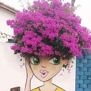 ccc0824的个人资料头像