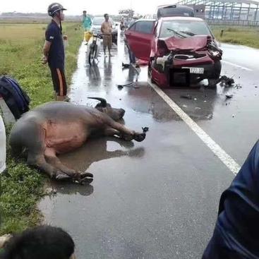 IT互联网大叔于2020-07-16 19:20发布的图片