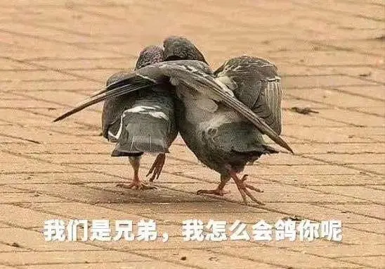 咕咕咕