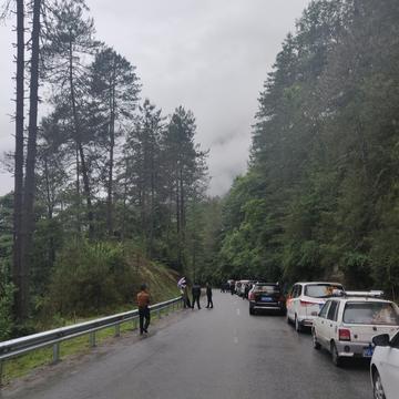 两双筷子于2020-07-16 22:38发布的图片