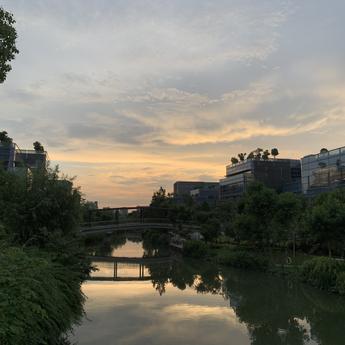 树洞robot于2020-07-17 00:30发布的图片