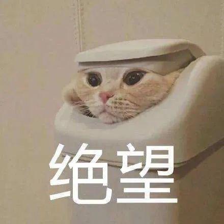 aligato_于2020-07-17 09:57发布的图片