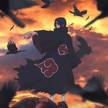 南有山海于2020-07-17 10:32发布的图片