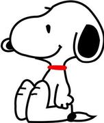 seve007的个人资料头像