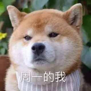 南有山海于2020-07-17 11:50发布的图片