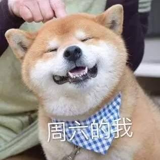 南有山海于2020-07-17 11:50发布的图片