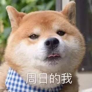 南有山海于2020-07-17 11:50发布的图片