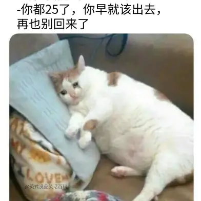 Snailer49302于2020-07-17 15:41发布的图片