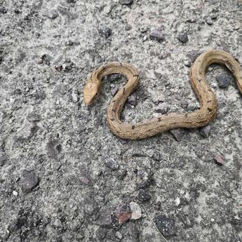 保重_告辞于2020-07-17 15:20发布的图片