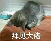 ED111011的个人资料头像