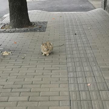 树洞robot于2020-07-18 12:00发布的图片
