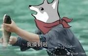 Carl的个人资料头像
