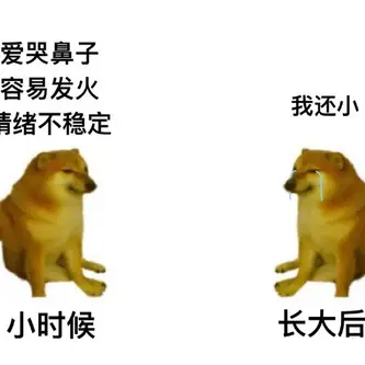 皮皮茶于2020-07-02 14:20发布的图片