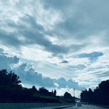 专业捡垃圾20年于2020-07-02 11:19发布的图片