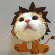 Wally109888的个人资料头像