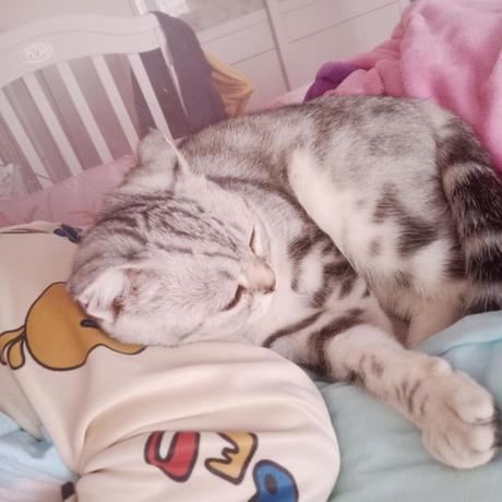 阿斯顿111于2020-07-20 13:40发布的图片