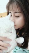 girlandcat的个人资料头像