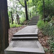 向左的个人资料头像