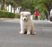 初三Lyj的个人资料头像