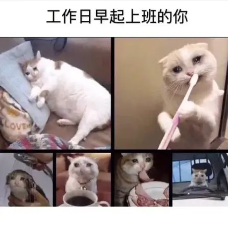 Snailer49302于2020-07-21 15:11发布的图片