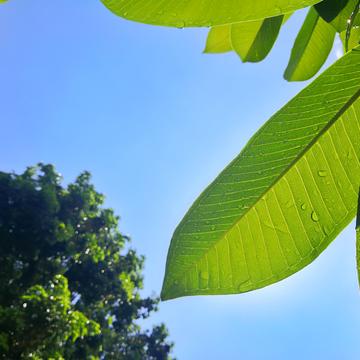 代码盐究员于2020-07-21 14:12发布的图片
