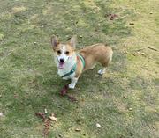 洛希的个人资料头像