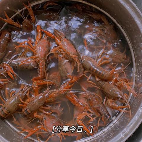 麻辣大龙虾于2020-07-22 09:17发布的图片