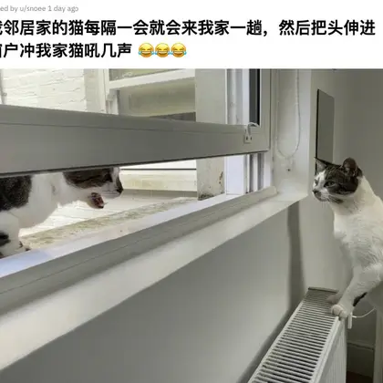 一一二三于2020-07-22 11:01发布的图片