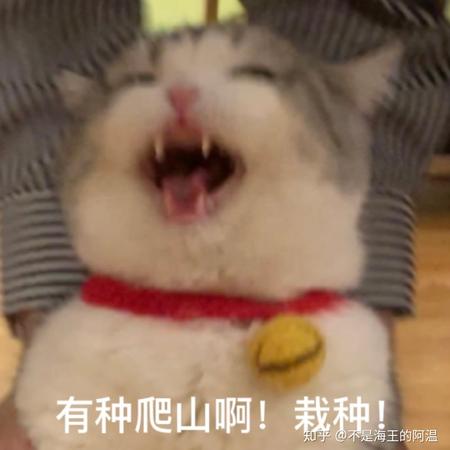 皮皮皮皮皮喵于2020-07-22 13:28发布的图片