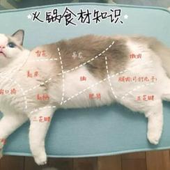 Liveus于2020-07-22 15:08发布的图片